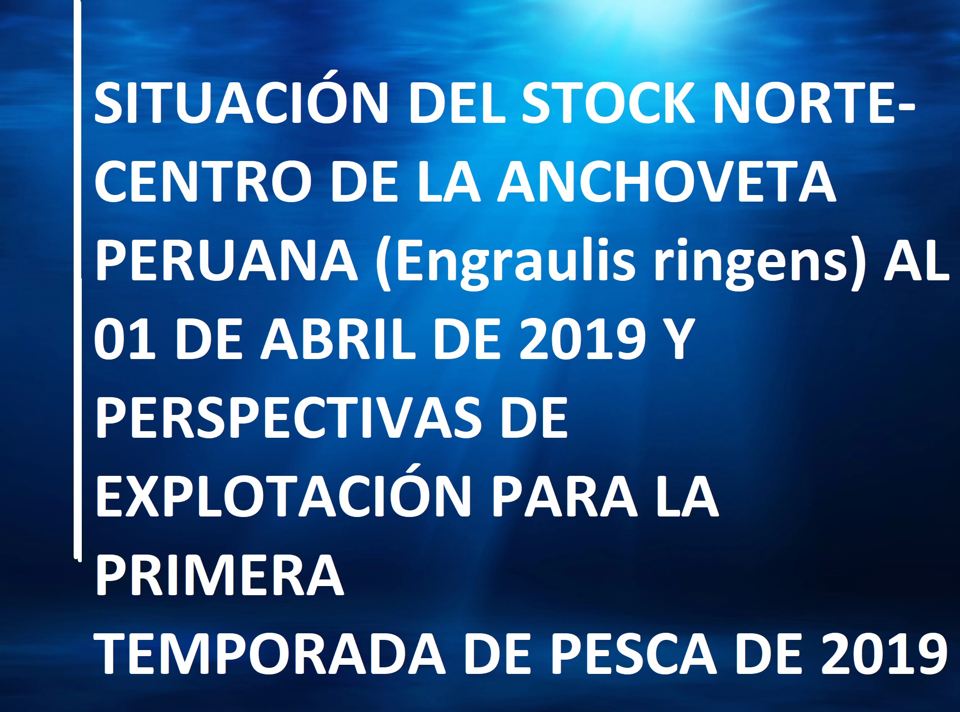 INFORME ANCOHVETA ABRIL 2019