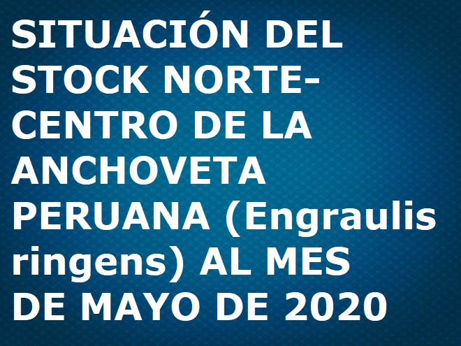 Informe anchoveta mayo 2020