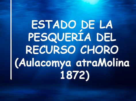informe choro 2019