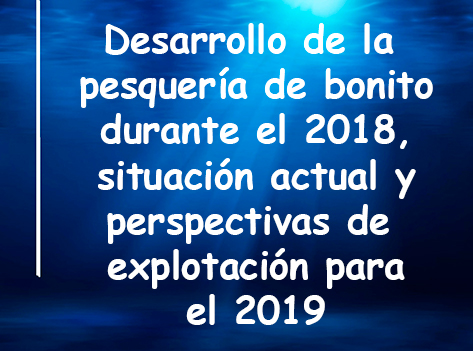 pesqueria bonito y proyeccion 2019
